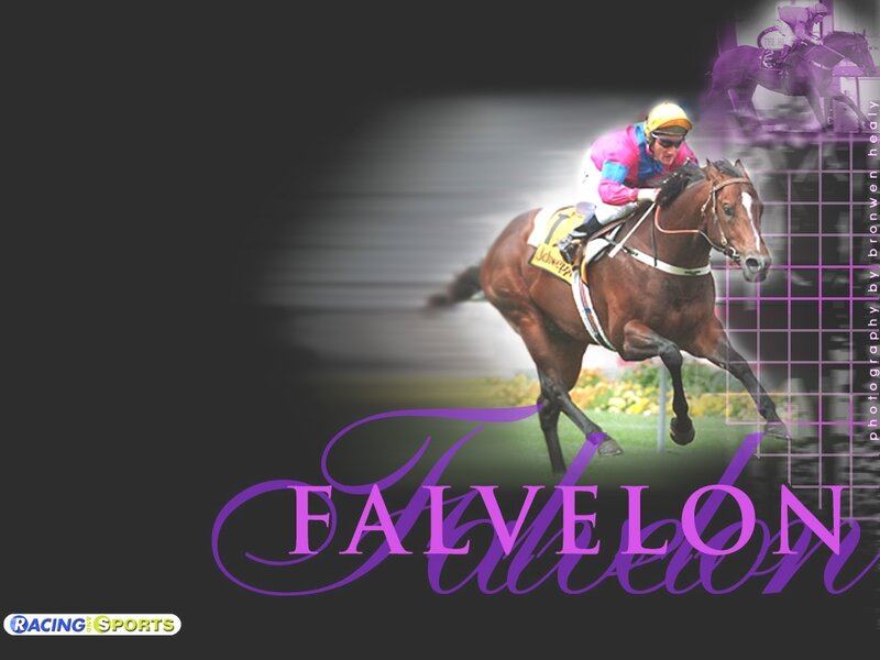 Jockey Riding Racehorse — Purple