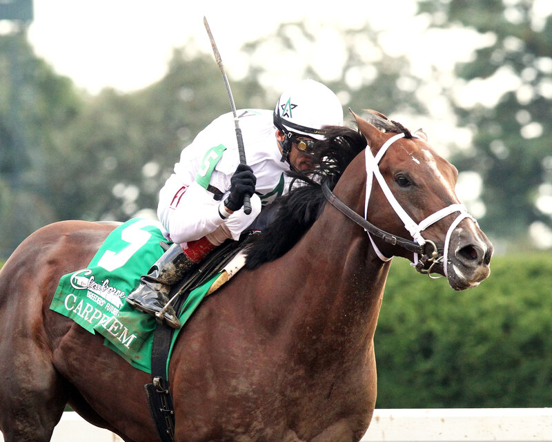 jockey riding racehorse