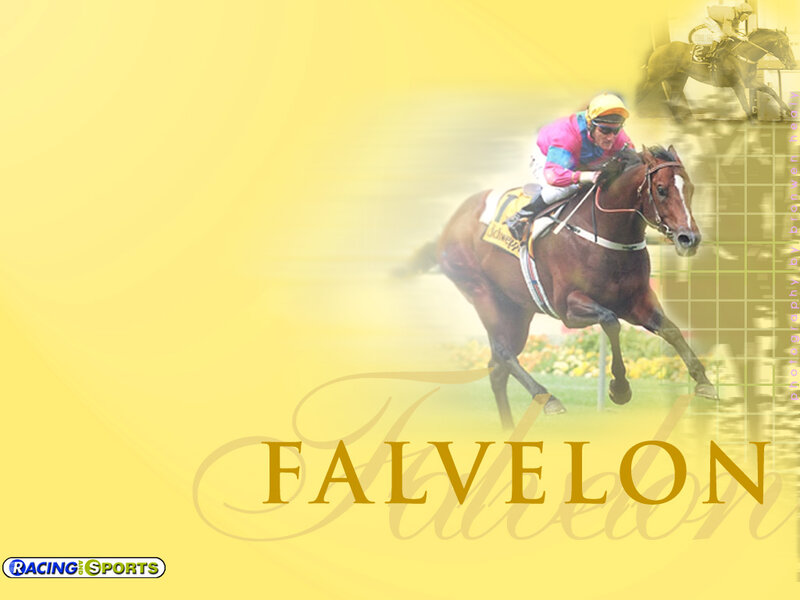 Jockey Riding Racehorse — Yellow, Dynamic
