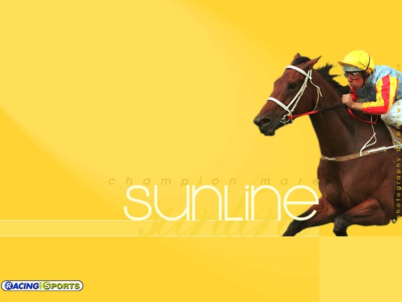 Jockey Riding Racehorse — Yellow