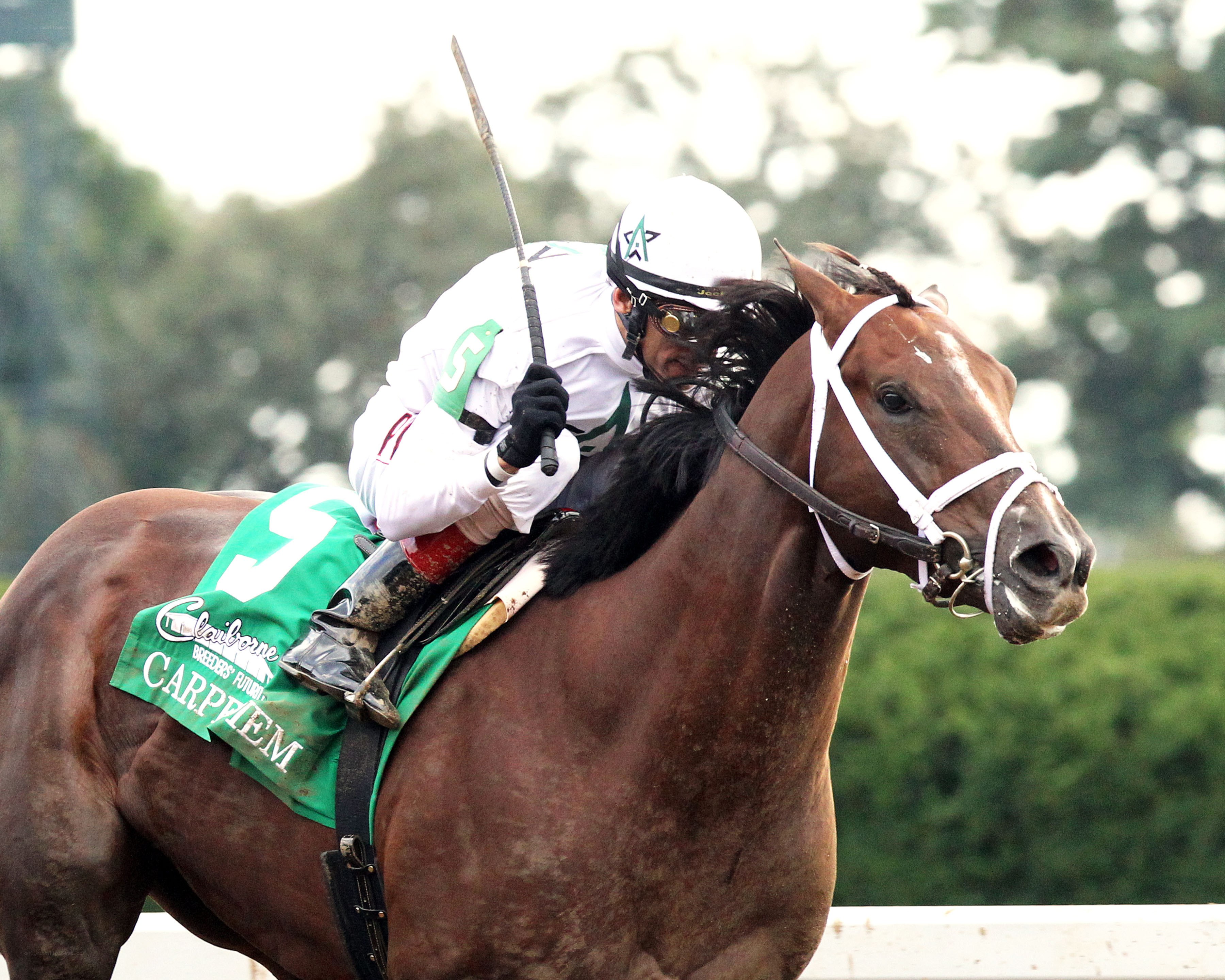 jockey riding racehorse
