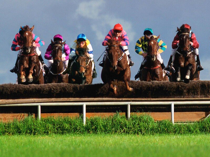Jockeys on Horses — Brown, Dynamic