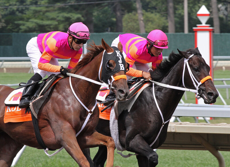 Jockeys on Racehorses