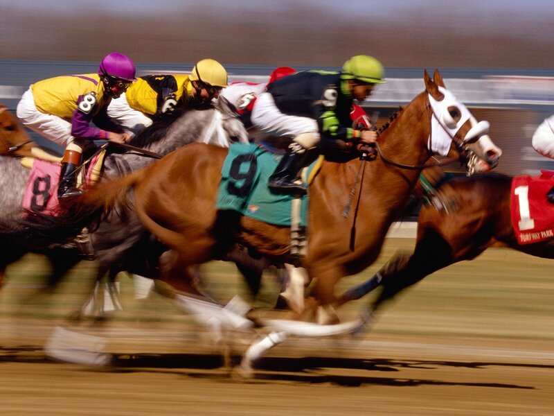 Jockeys Racing Horses — Brown
