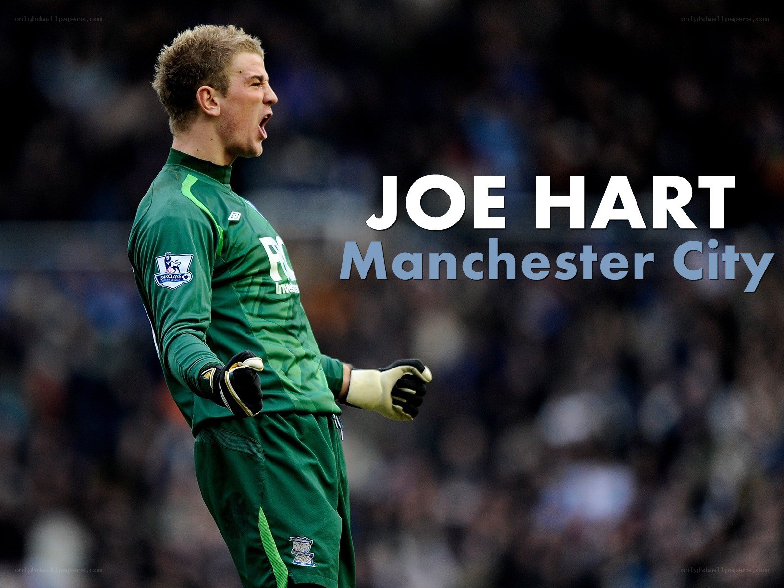 Joe Hart in green kit