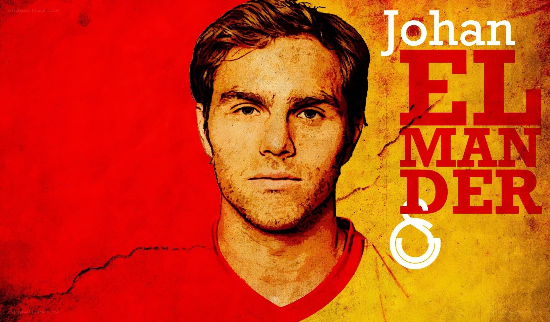Johan Elmander portrait