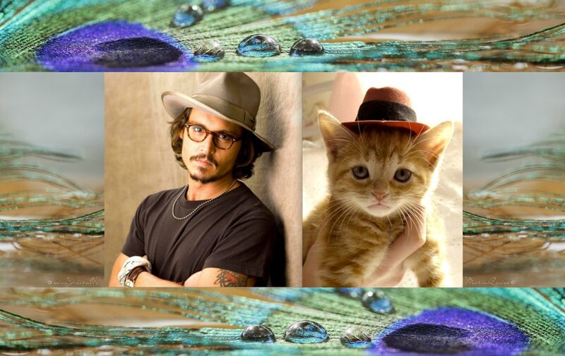 Johnny Depp and Kitten