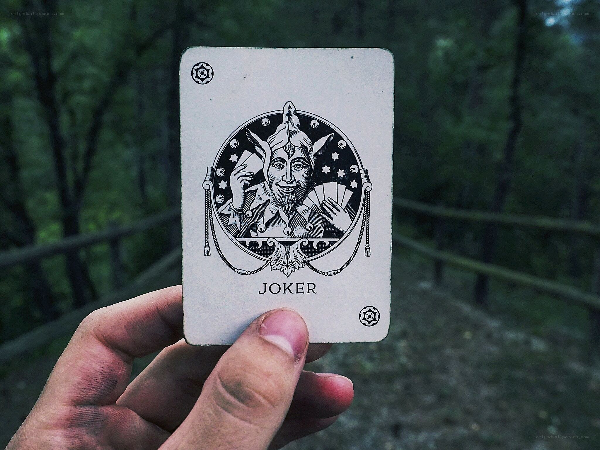 Joker card in forest