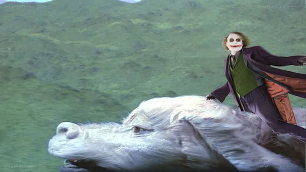 Joker on a dragon