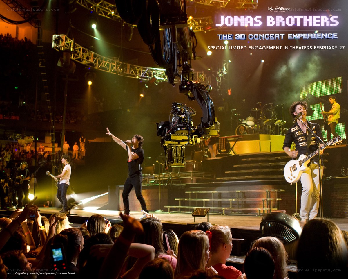 Jonas Brothers concert performance
