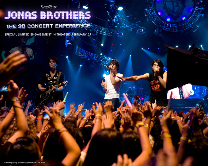 Jonas Brothers concert