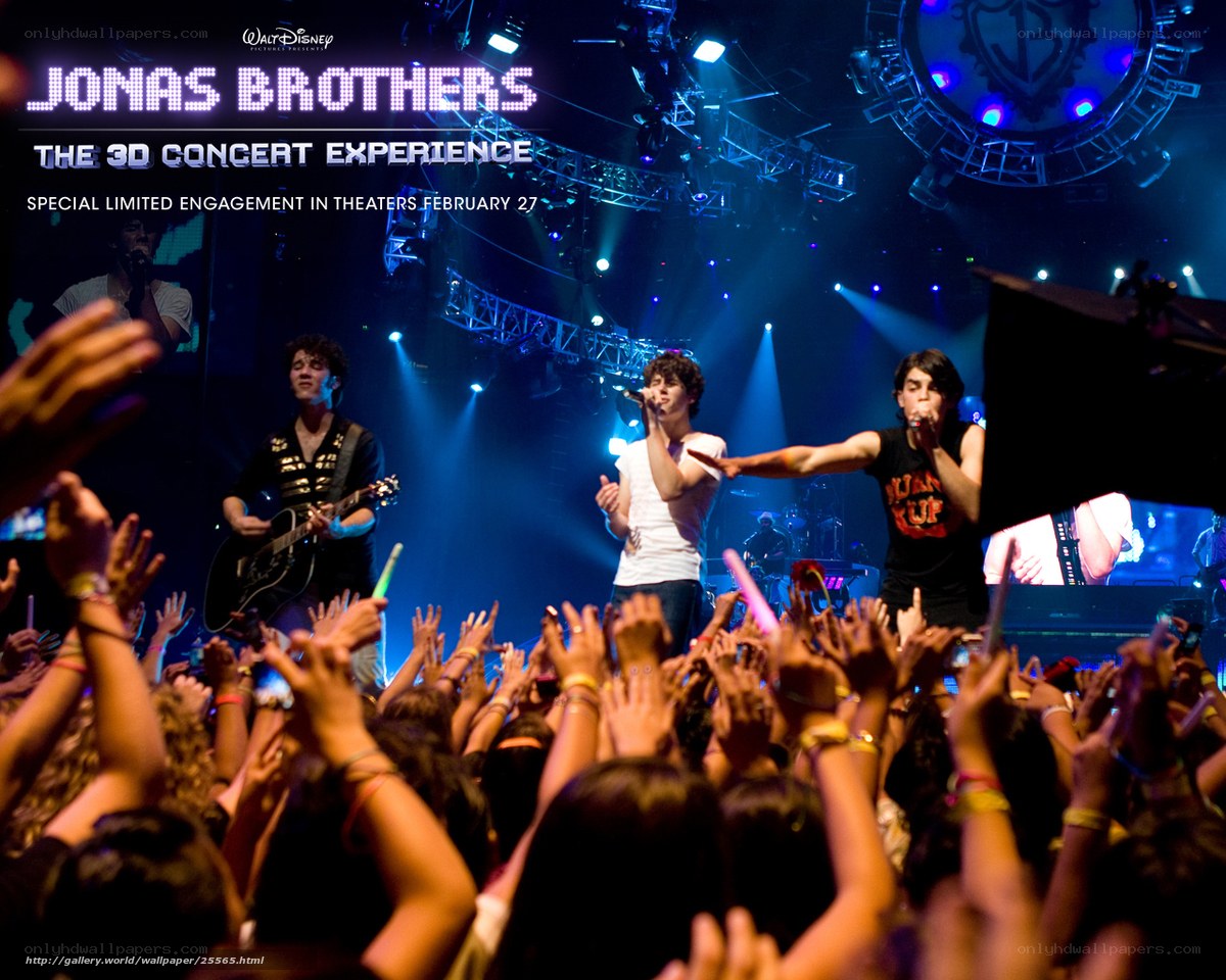 Jonas Brothers concert