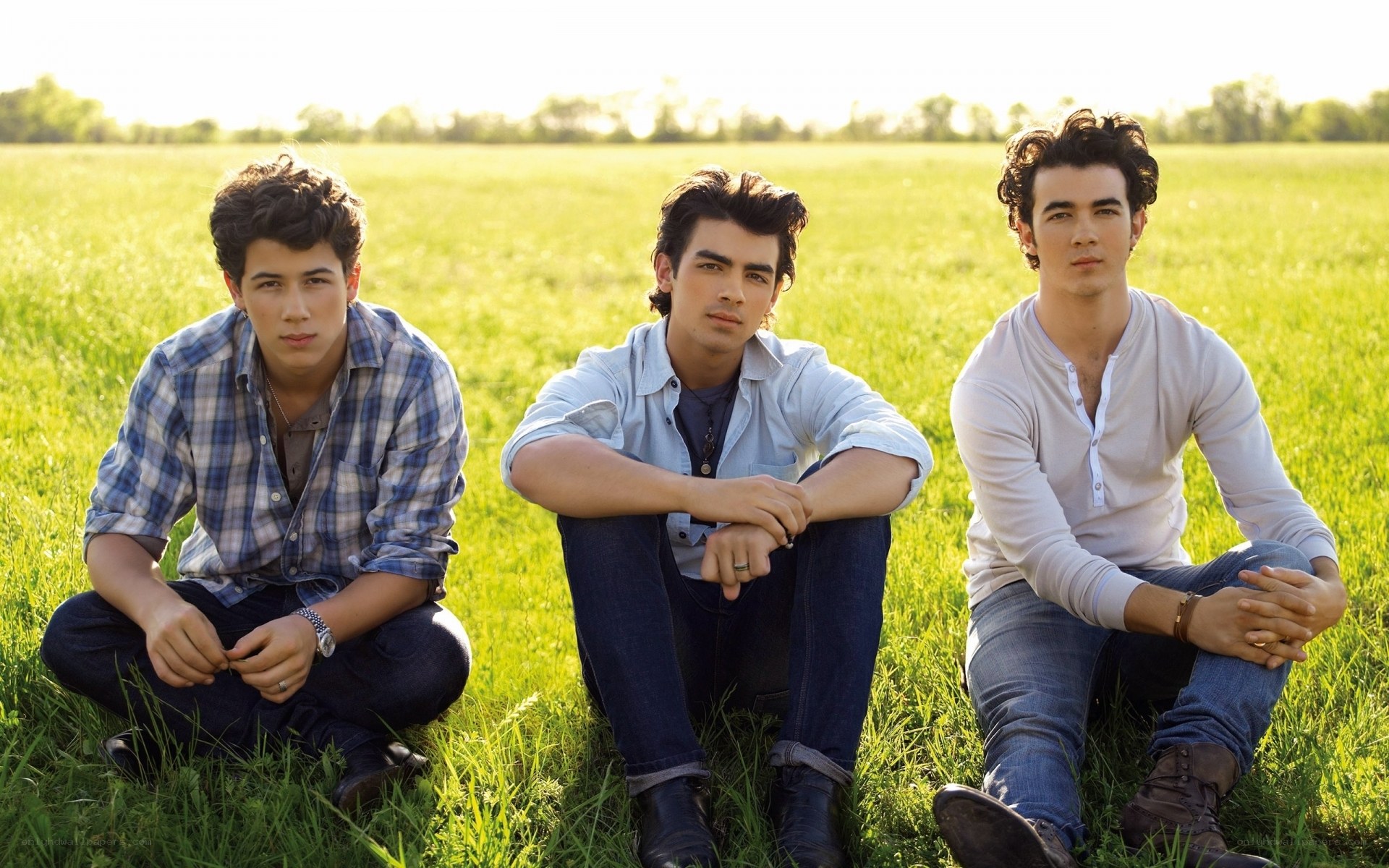 Jonas Brothers in a field