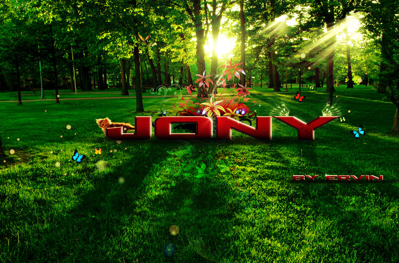 Jony in a sunlit park