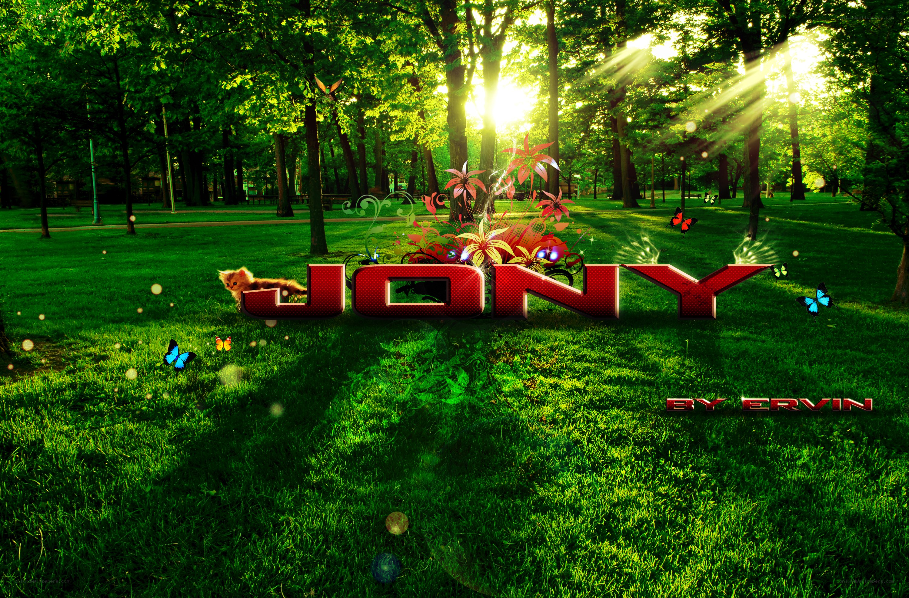 Jony in a sunlit park