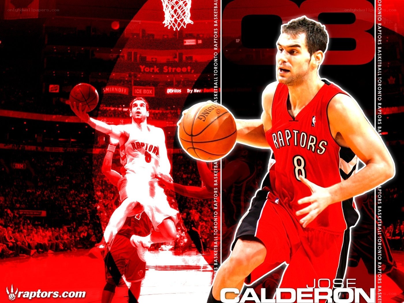 Jose Calderon Raptors