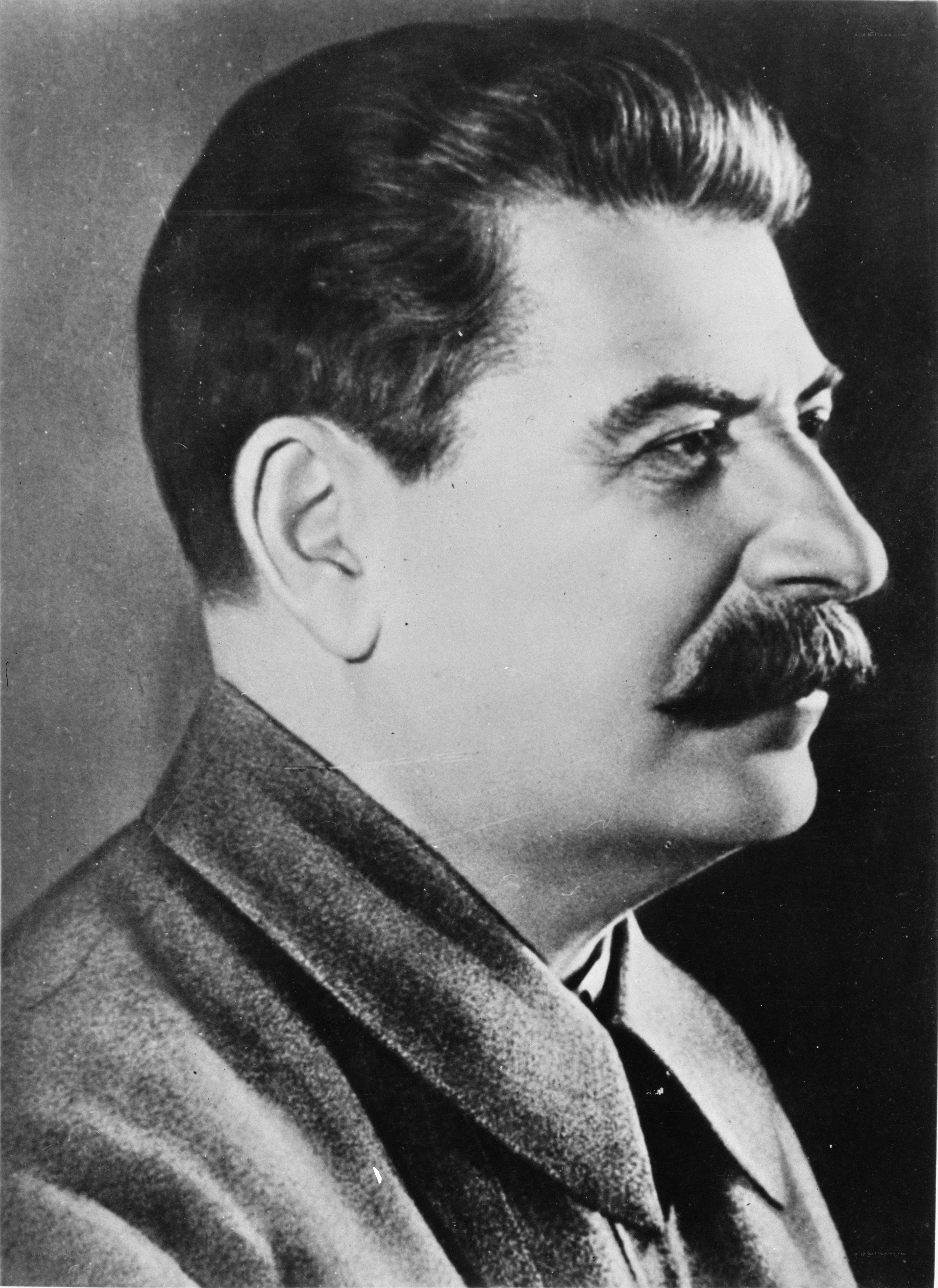 Joseph Stalin portrait