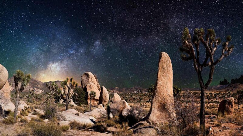 Joshua Tree Desert — Black