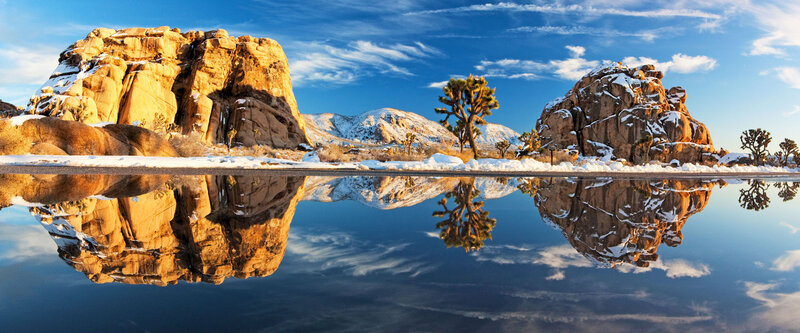 Joshua Tree Desert