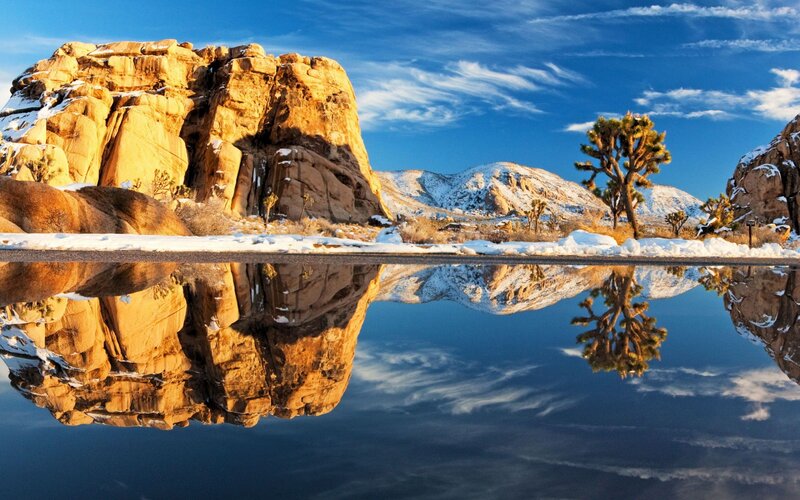 Joshua Tree with Snow — Blue, Serene, Winter, Photograph, Rock Formation, Mountains