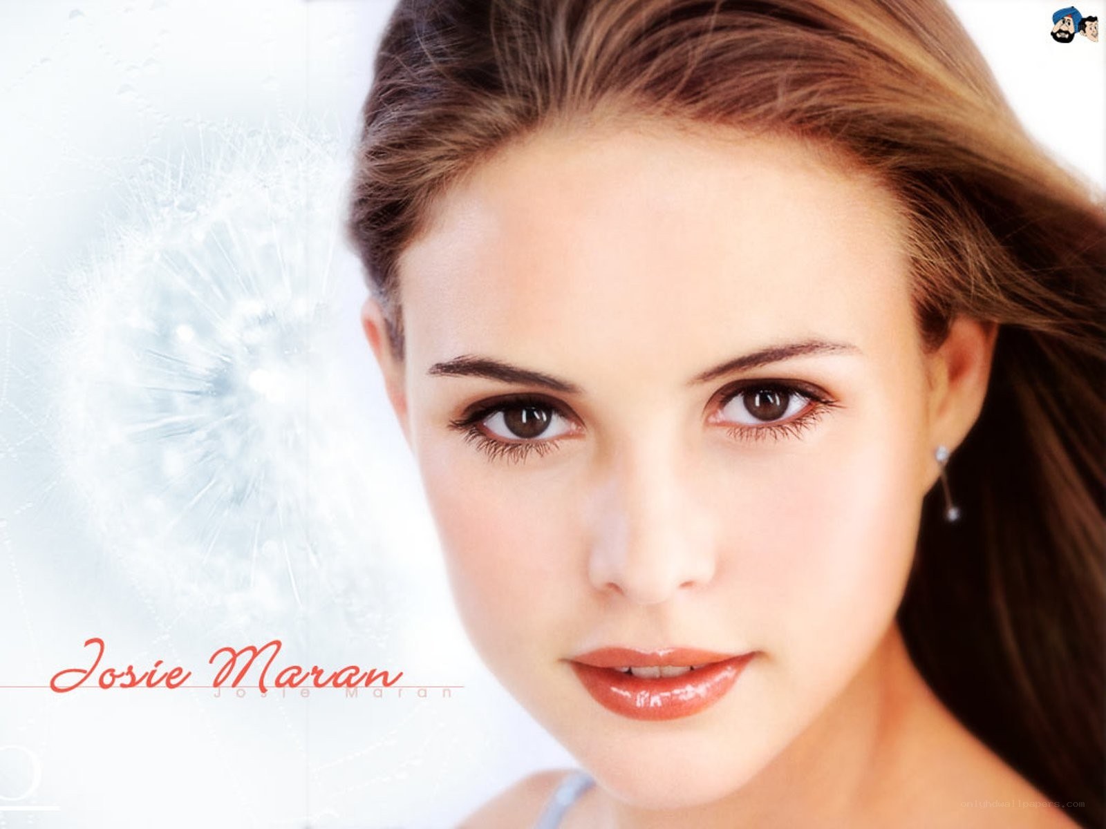 Josie Maran portrait