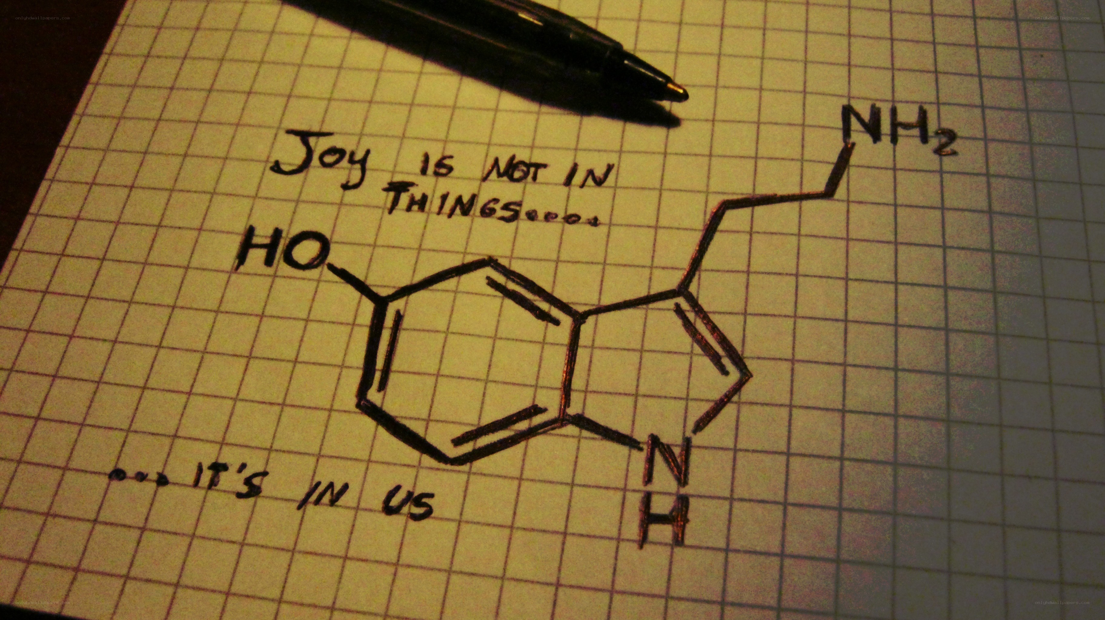 joy is in us drawing