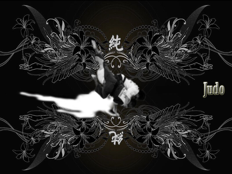 Judo martial arts artwork