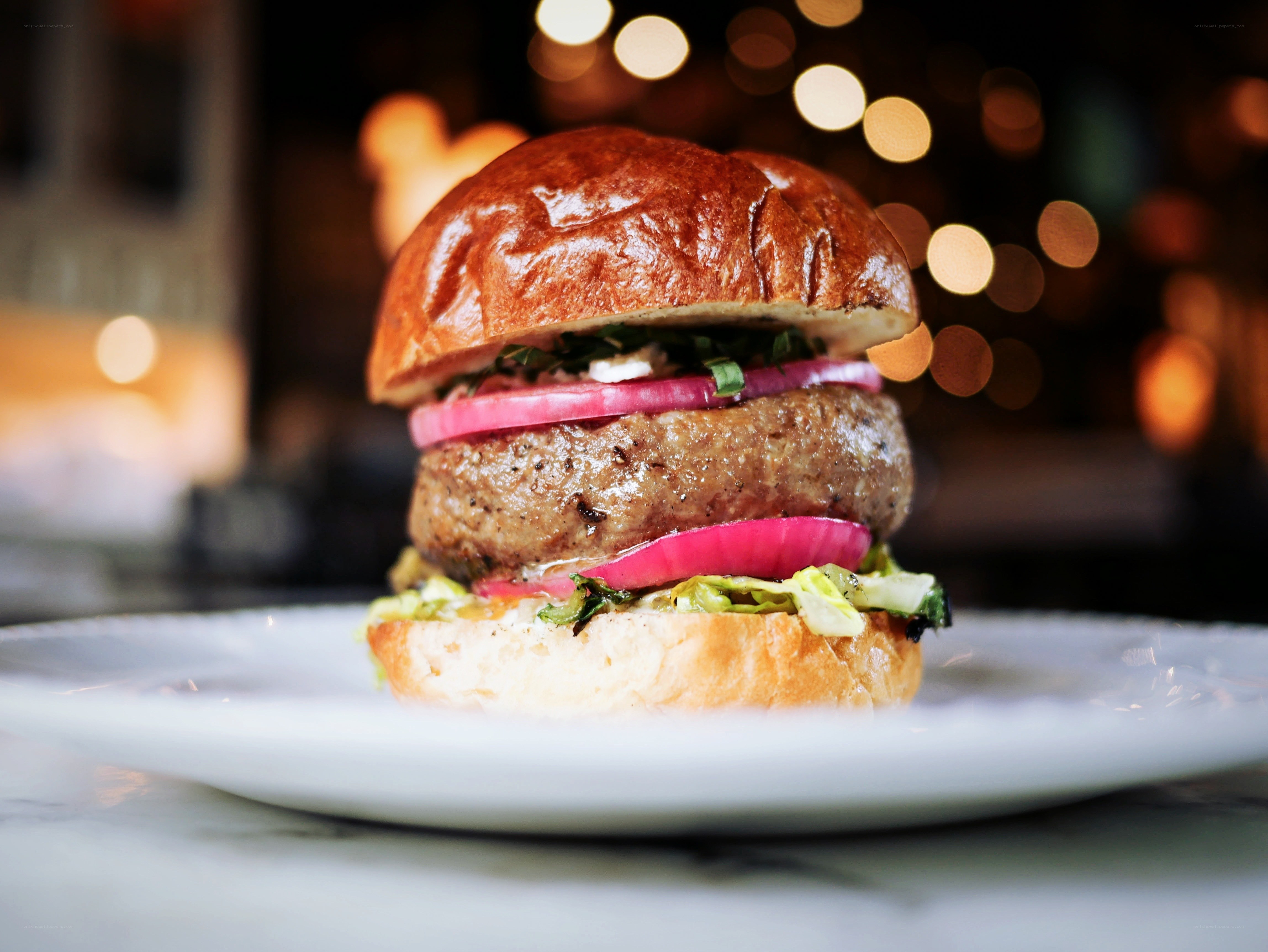 Juicy burger on a plate