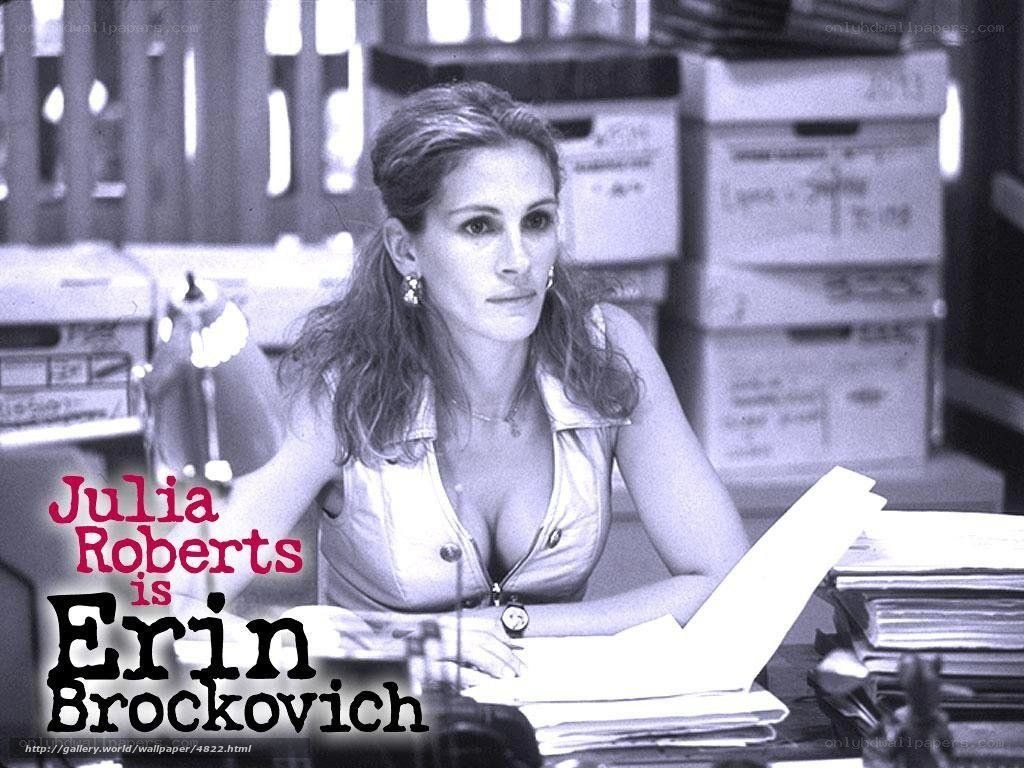 Julia Roberts as Erin Brockovich