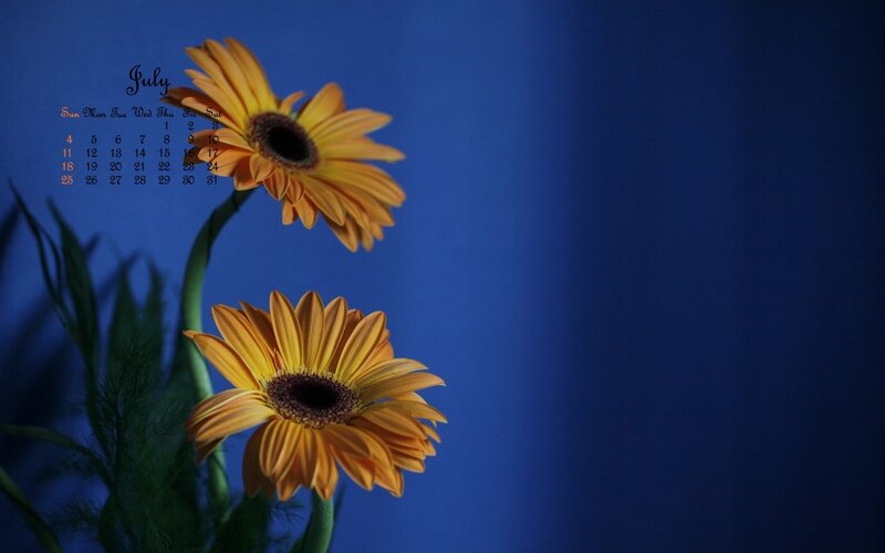 July calendar with daisies