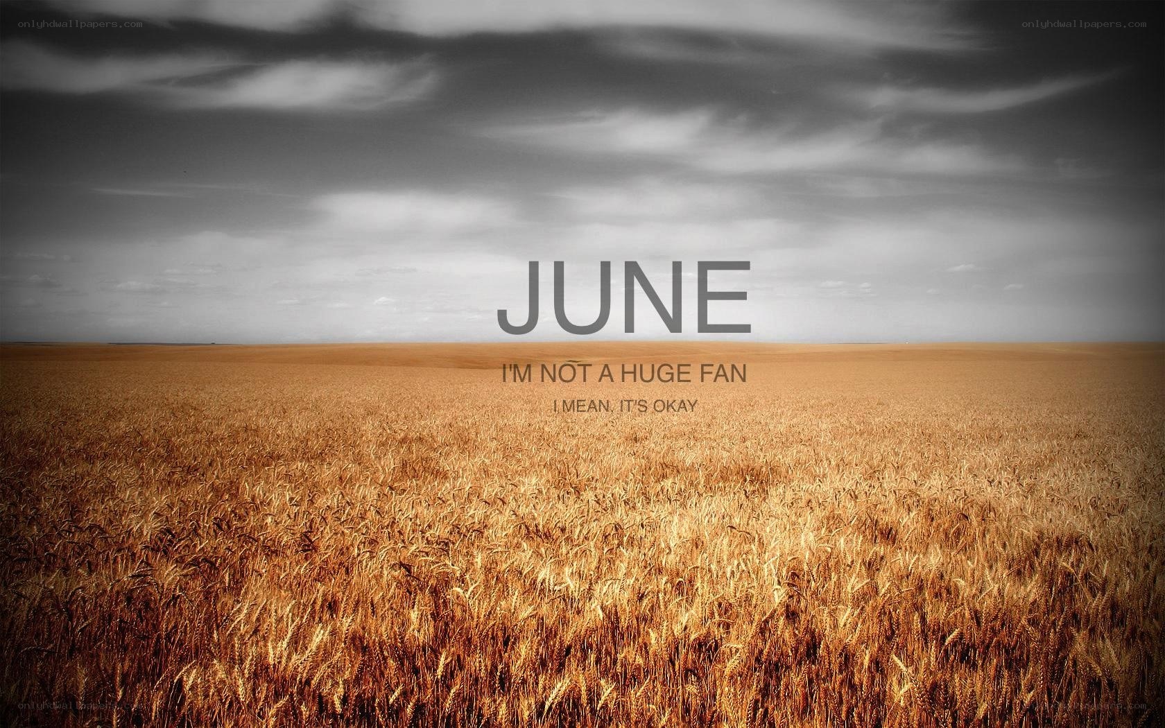 June wheat field
