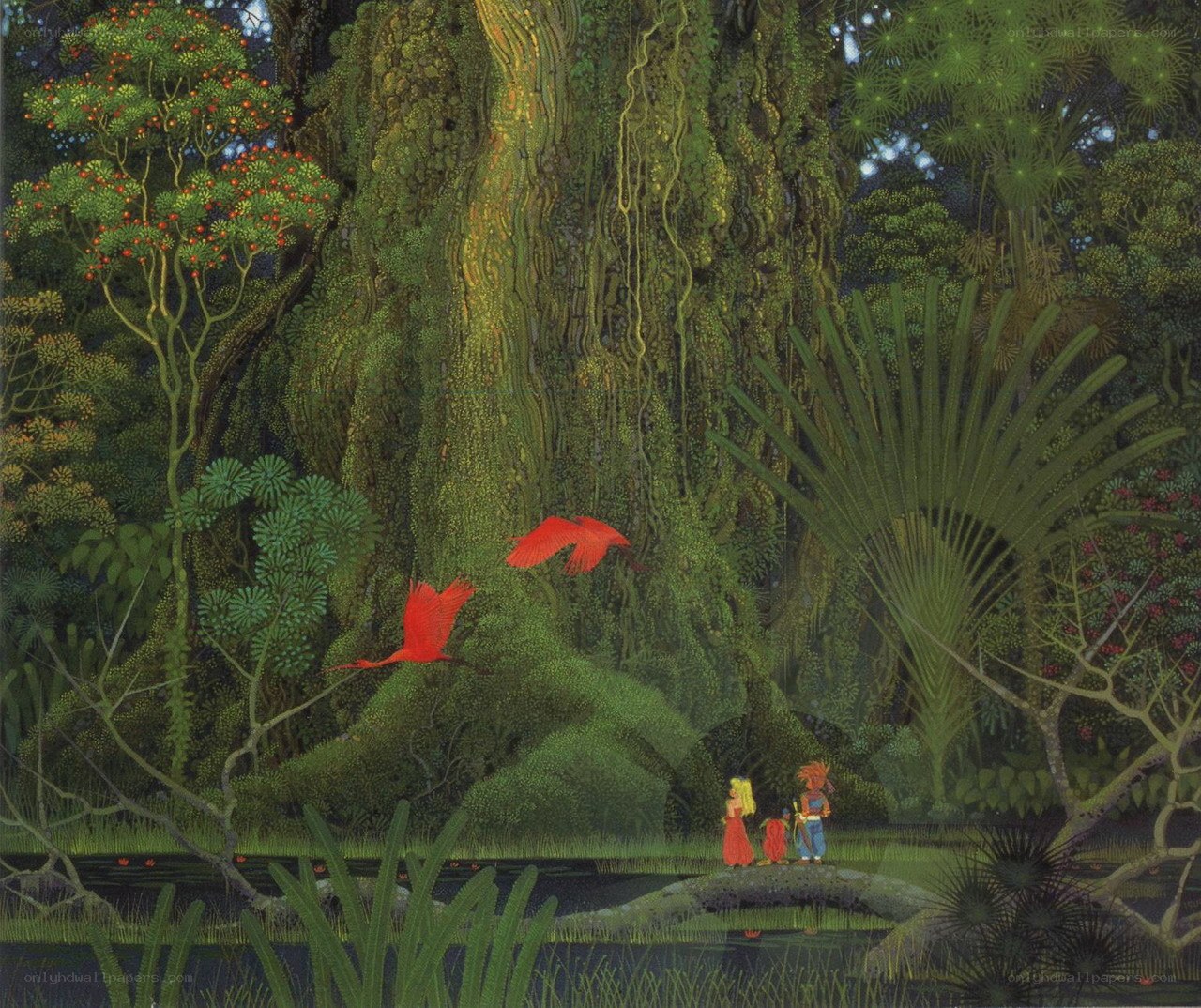 Jungle adventure with birds