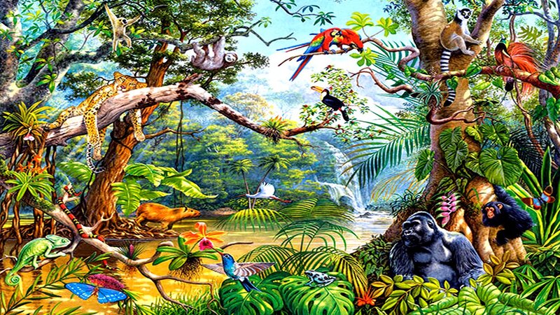 Jungle Animals in Forest