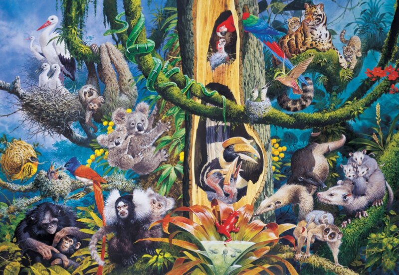 Jungle Animals in Tree