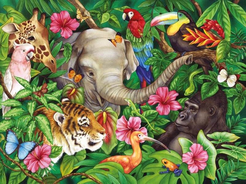 Jungle Animals Together
