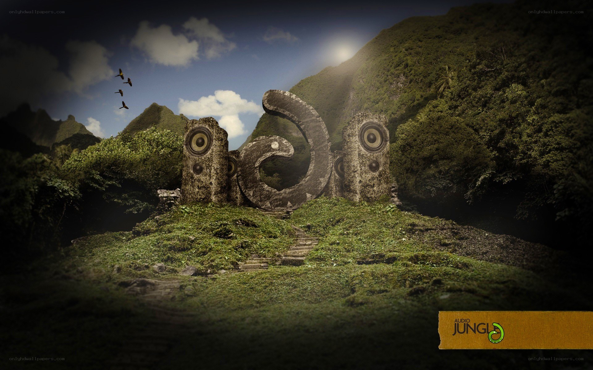 jungle audio speakers