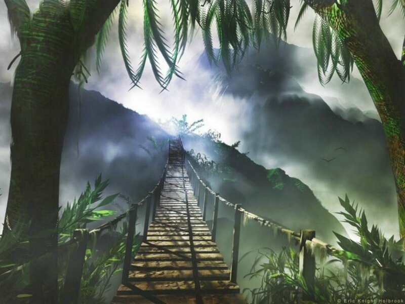 Jungle bridge to mountain peak