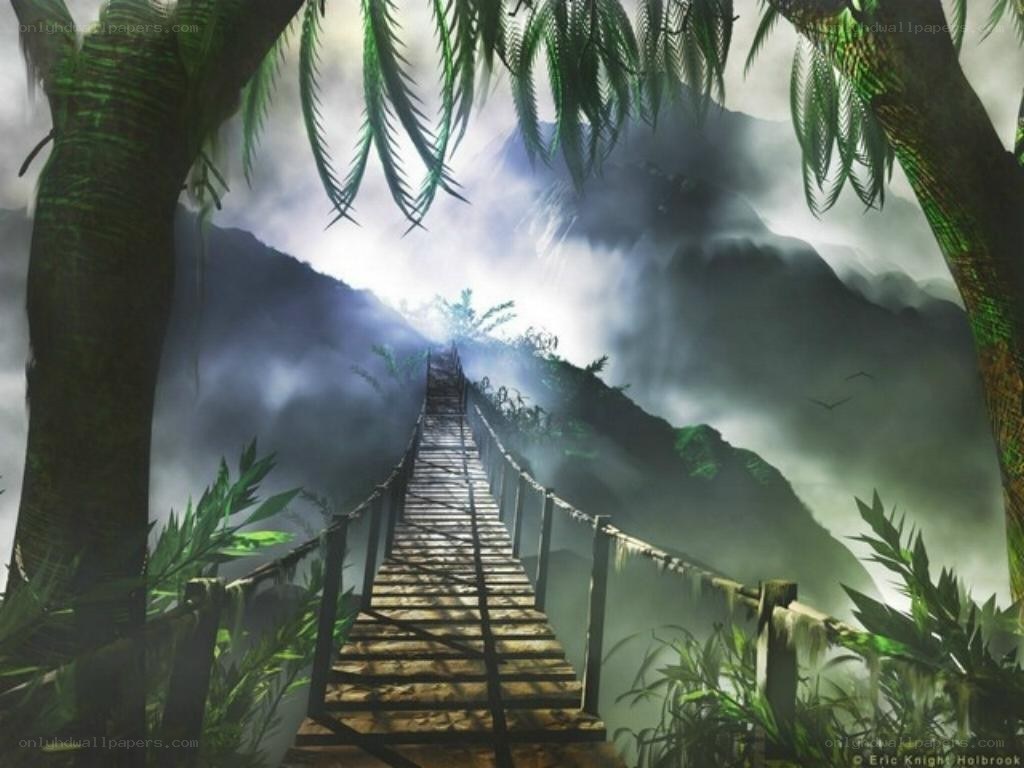 Jungle bridge to mountain peak