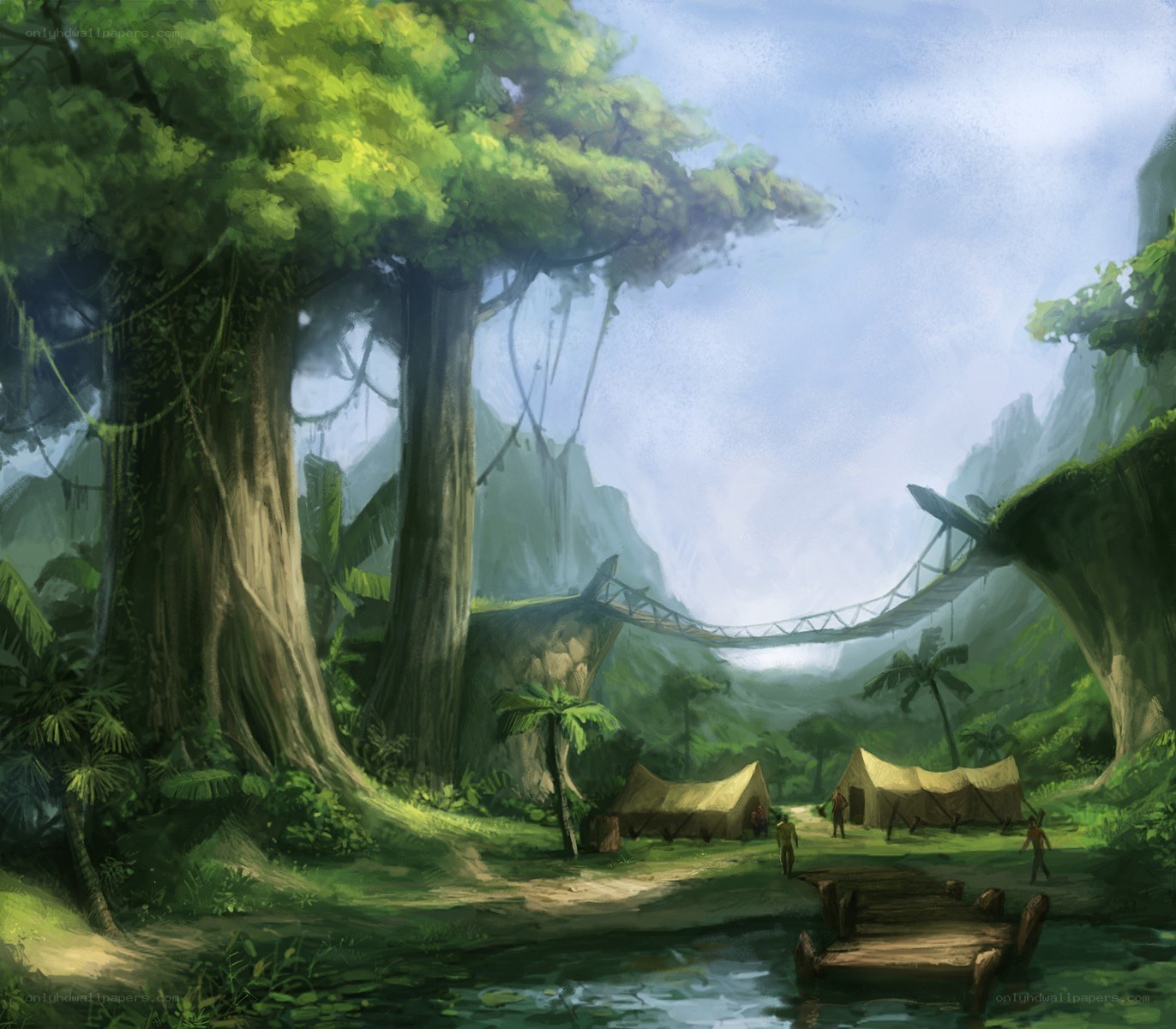 Jungle camp with suspension bridge