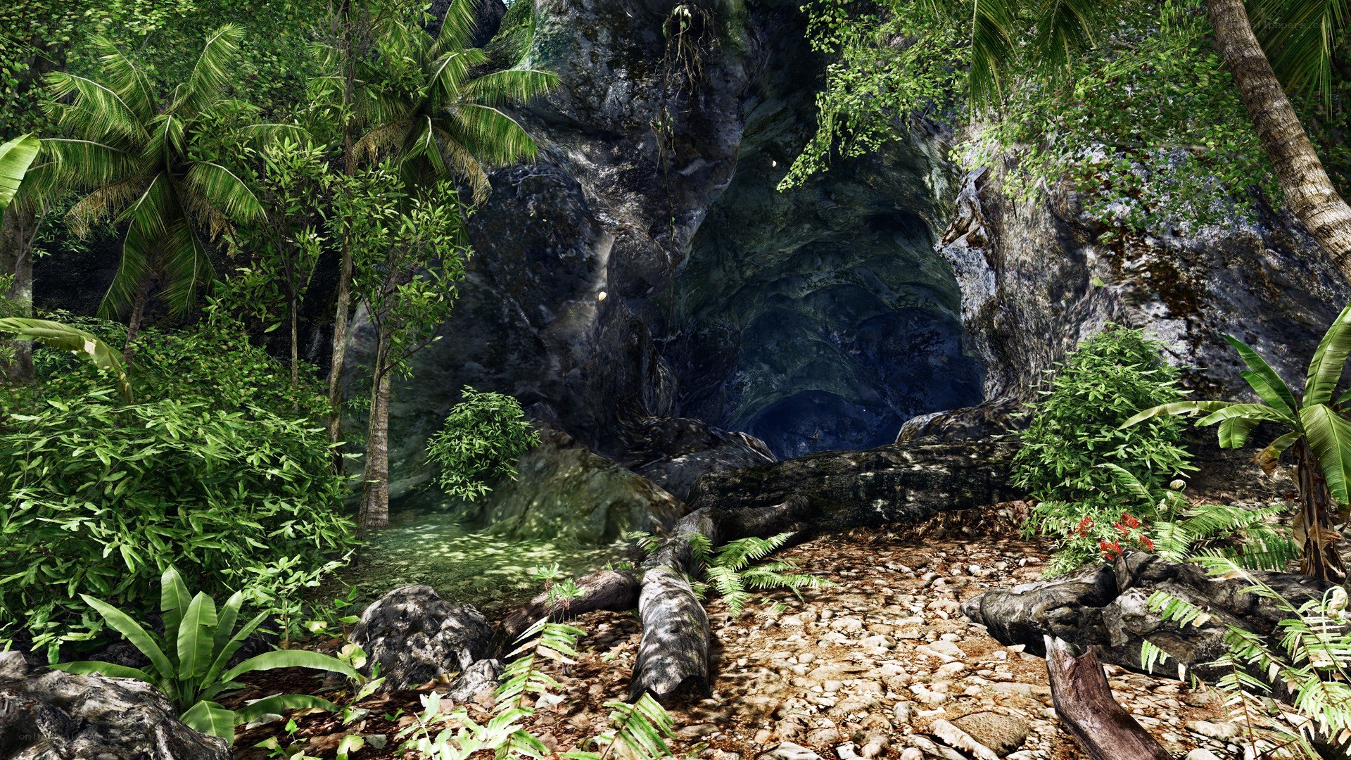 jungle cave entrance