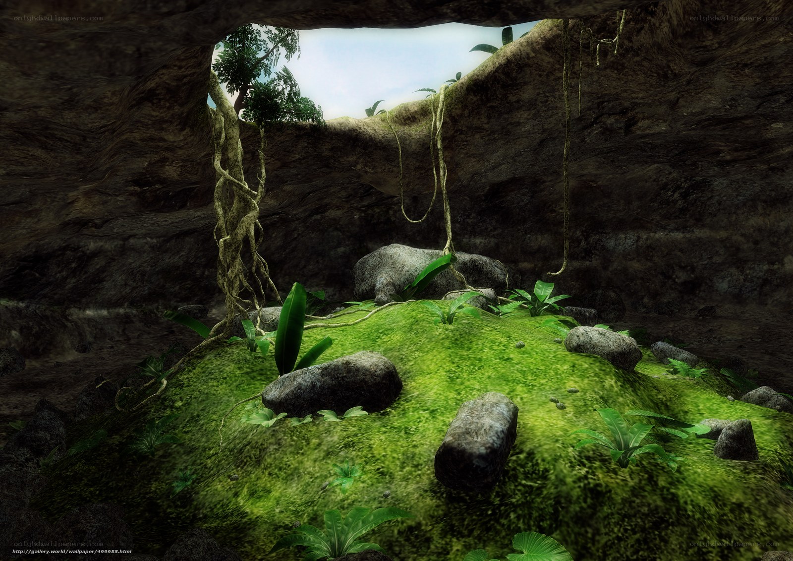 Jungle cave entrance