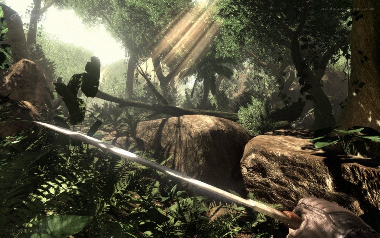Jungle exploration with sword