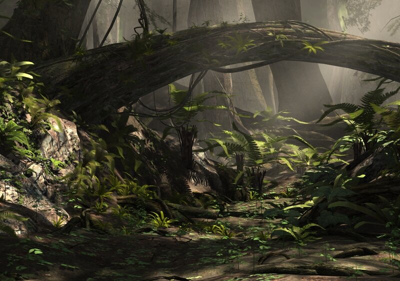 Jungle Forest Floor