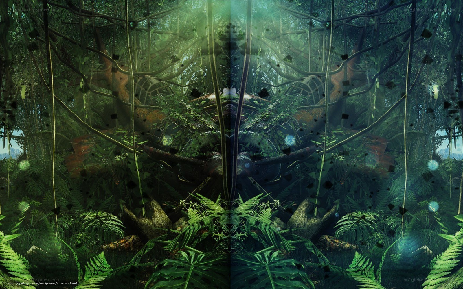 jungle forest mirror effect