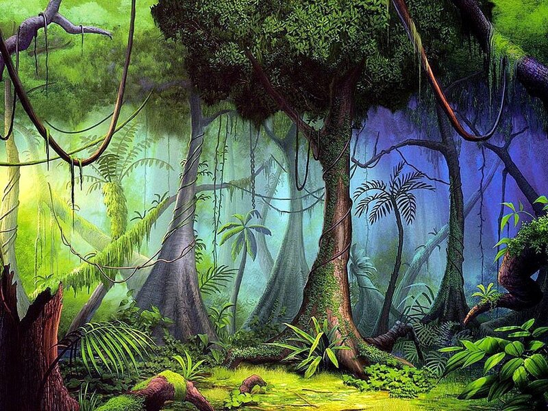 Jungle Forest Scene — Green, Mysterious