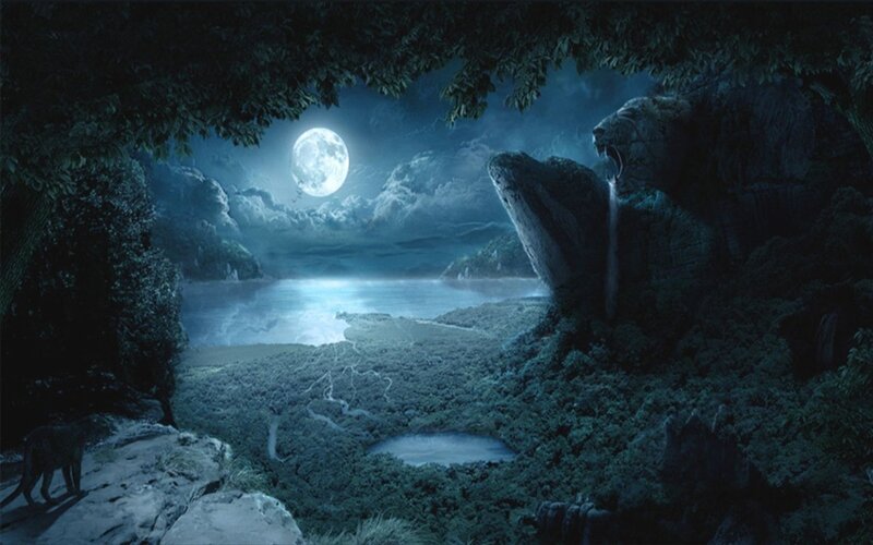 Jungle Landscape at Night — Blue