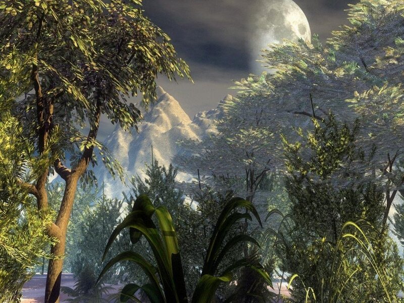 Jungle Landscape at Night