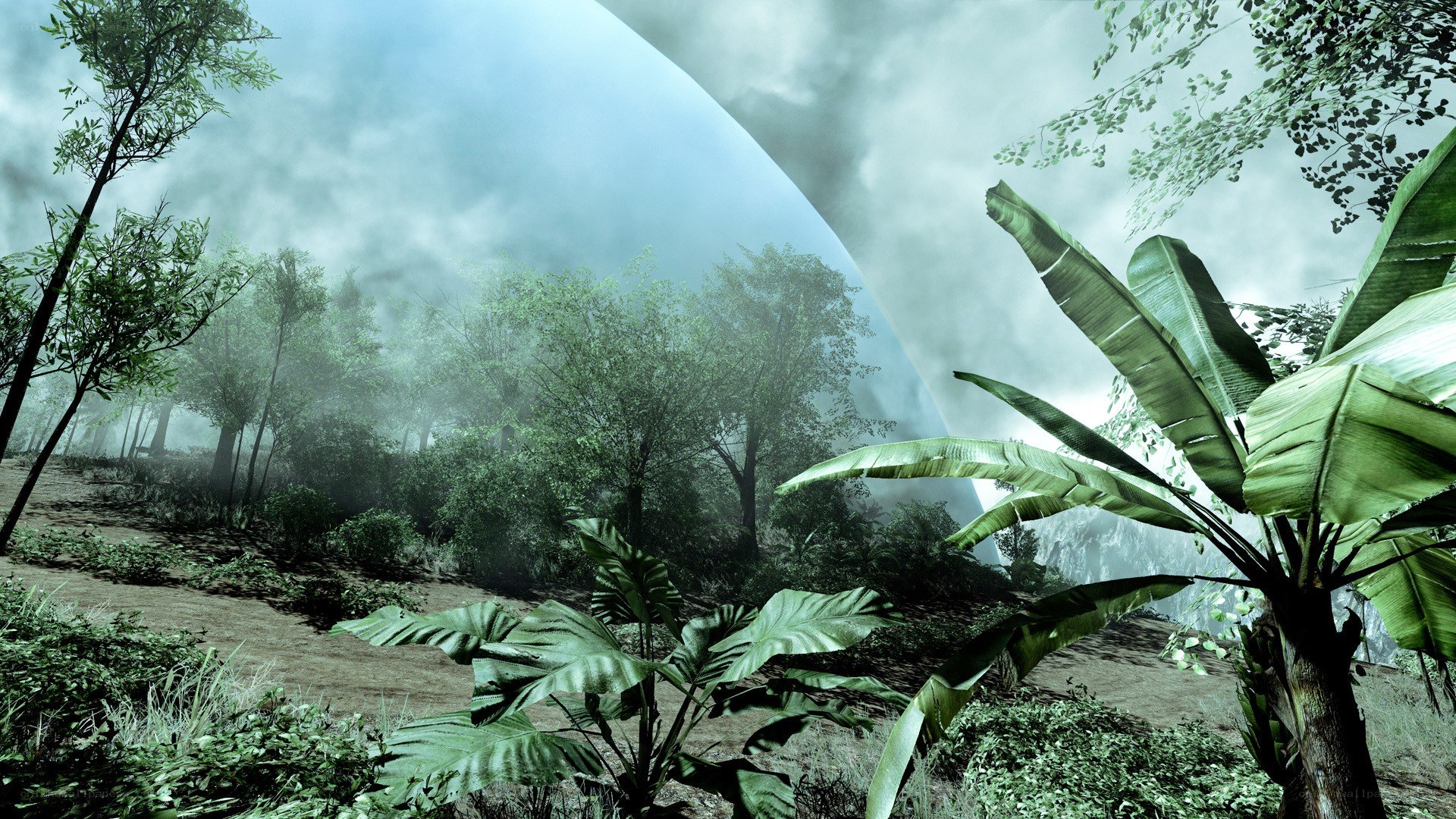 jungle landscape with dome