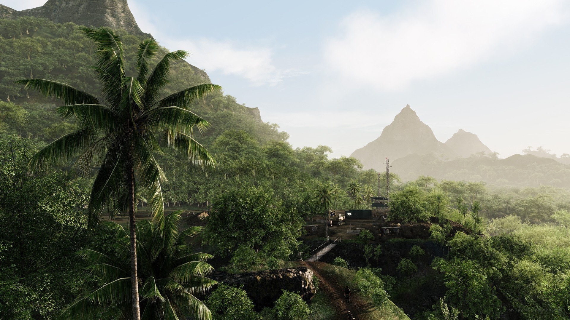 jungle landscape with mountains