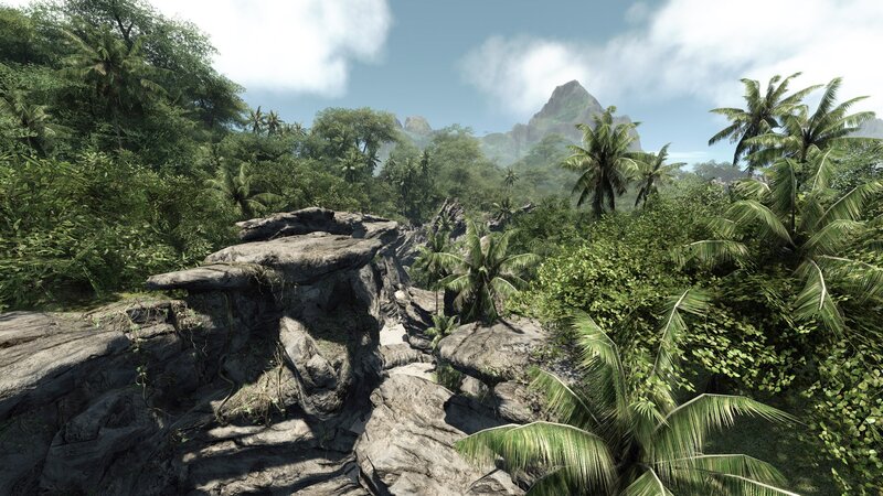 jungle landscape with mountains